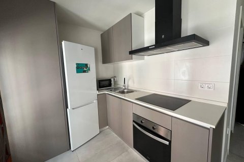 Huoneisto Alicante, Espanja 1 makuuhuone, 40 m2 No. 166280