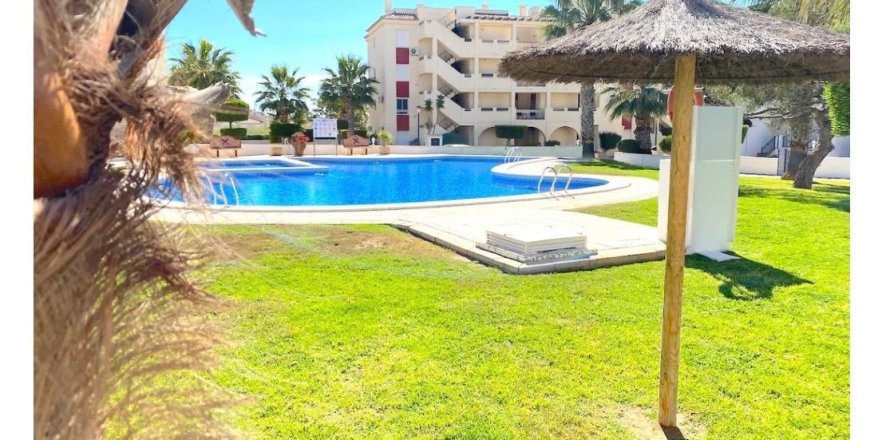 Apartment in Playa Flamenca II, Alicante, Spain 2 bedrooms, 73 sq.m. No. 196802