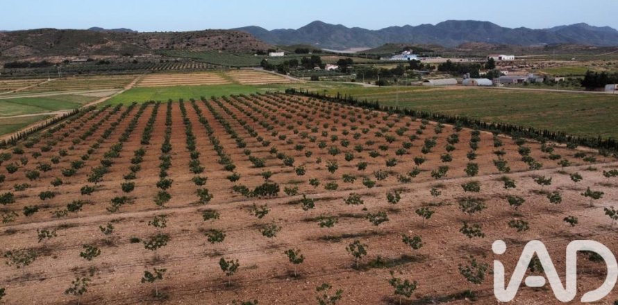 Propiedad comercial en Lorca, Murcia, España No. 185123