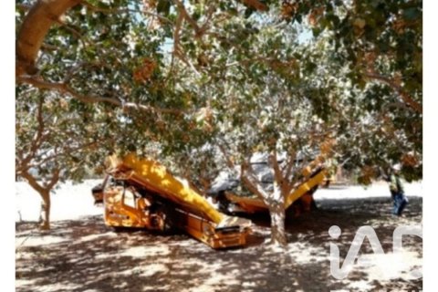 Propiedad comercial en venta en Lorca, Murcia, España No. 185123 - foto 10
