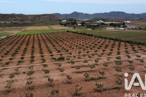 Propiedad comercial en venta en Lorca, Murcia, España No. 185123 - foto 14