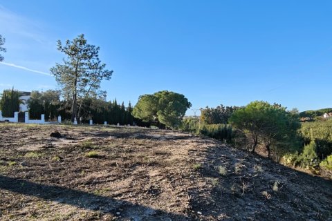 Land plot à vendre à Lepe, Huelva, Espagne, 2425 m2 No. 172493 - photo 7