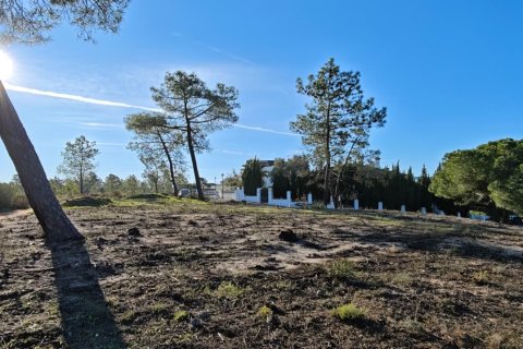 Land plot à vendre à Lepe, Huelva, Espagne, 2425 m2 No. 172493 - photo 2