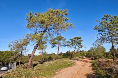 Land plot à vendre à Lepe, Huelva, Espagne, 2425 m2 No. 172493 - photo 5