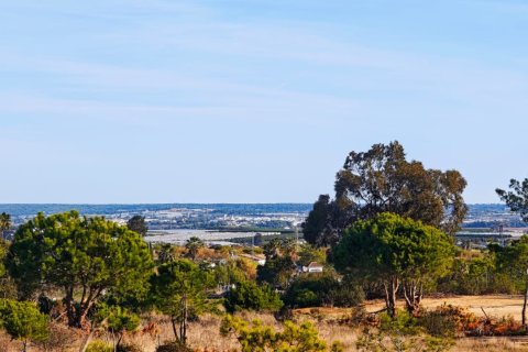 Land plot in Lepe, Huelva, Spain 2425 sq.m. No. 172493