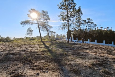 Land plot à vendre à Lepe, Huelva, Espagne, 2425 m2 No. 172493 - photo 6