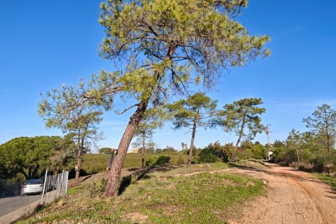 Land plot à vendre à Lepe, Huelva, Espagne, 2425 m2 No. 172493 - photo 3