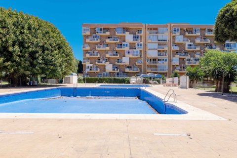 Appartamento in vendita a Benalmadena, Malaga, Spagna 1 camera, 33 mq. N° 186835 - foto 19