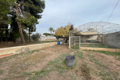 Villa in vendita a Elche, Alicante, Spagna 4 camere da letto, 283 mq. N° 147348 - foto 20