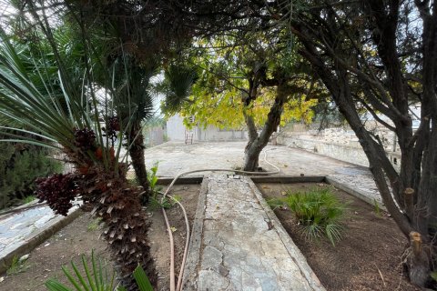 Villa in vendita a Elche, Alicante, Spagna 4 camere da letto, 283 mq. N° 147348 - foto 12