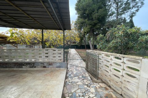 Villa in vendita a Elche, Alicante, Spagna 4 camere da letto, 283 mq. N° 147348 - foto 26