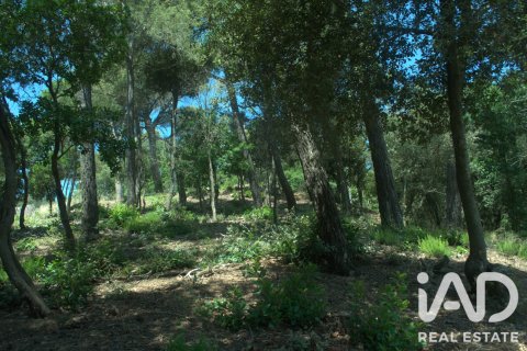 Продажа земельного участка в Сан-Кугат-дель-Вальес, Барселона, Испания 1029м2 №188090 - фото 13