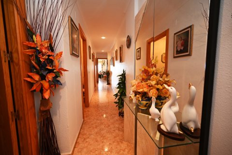 Apartament Torrevieja, Alicante, Hiszpania 3 sypialnie, 115 mkw. nr 135710 – zdjęcie 18