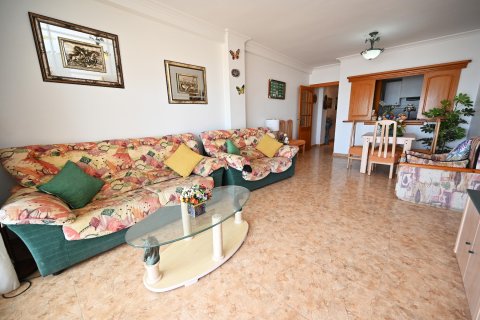 Apartament Torrevieja, Alicante, Hiszpania 3 sypialnie, 115 mkw. nr 135710 – zdjęcie 4