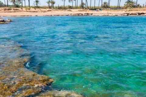 Apartament Torrevieja, Alicante, Hiszpania 2 sypialnie, 86 mkw. nr 137275 – zdjęcie 4