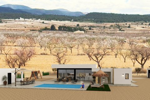 Villa zum Verkauf in Pinoso, Alicante, Spanien 3 Schlafzimmer, 184 m2 Nr. 191022 - Foto 8