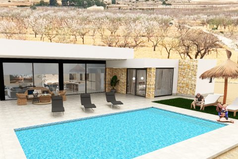 Villa zum Verkauf in Pinoso, Alicante, Spanien 3 Schlafzimmer, 184 m2 Nr. 191022 - Foto 7