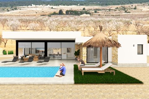 Villa zum Verkauf in Pinoso, Alicante, Spanien 3 Schlafzimmer, 184 m2 Nr. 191022 - Foto 12