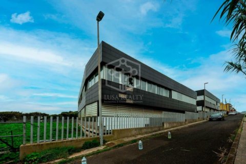 Commercial property à vendre à San Cristobal de La Laguna, Tenerife, Espagne, 6472 m2 No. 151449 - photo 19