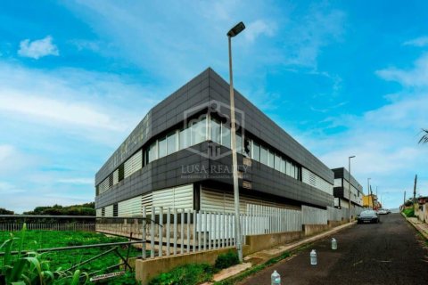 Gewerbeimmobilien in San Cristobal de La Laguna, Tenerife, Spanien 6472 m2 Nr. 151449