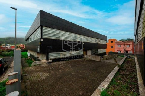 Commercial property à vendre à San Cristobal de La Laguna, Tenerife, Espagne, 6472 m2 No. 151449 - photo 12