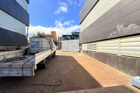 Commercial property à vendre à San Cristobal de La Laguna, Tenerife, Espagne, 6472 m2 No. 151449 - photo 15