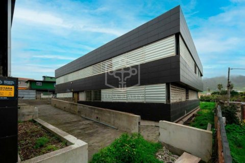 Commercial property à vendre à San Cristobal de La Laguna, Tenerife, Espagne, 6472 m2 No. 151449 - photo 8