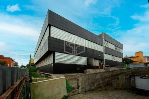 Commercial property à vendre à San Cristobal de La Laguna, Tenerife, Espagne, 6472 m2 No. 151449 - photo 9