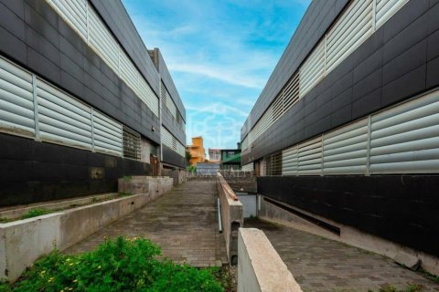 Commercial property à vendre à San Cristobal de La Laguna, Tenerife, Espagne, 6472 m2 No. 151449 - photo 13