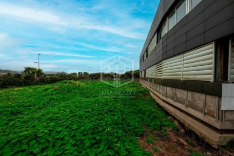 Commercial property à vendre à San Cristobal de La Laguna, Tenerife, Espagne, 6472 m2 No. 151449 - photo 6