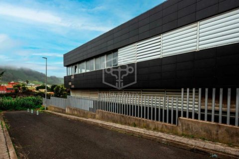 Commercial property à vendre à San Cristobal de La Laguna, Tenerife, Espagne, 6472 m2 No. 151449 - photo 18