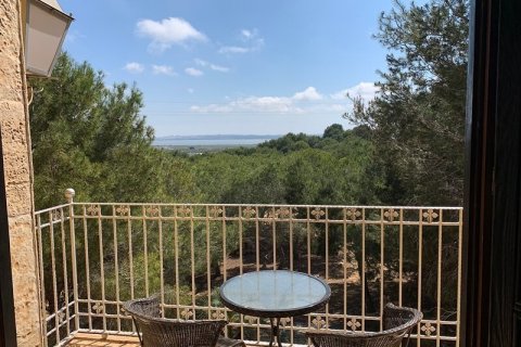 Villa for sale in Ciudad Quesada, Alicante, Spain 6 bedrooms, 300 sq.m. No. 175286 - photo 22
