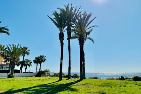 Apartment for sale in Torrevieja, Alicante, Spain 2 bedrooms, 112 sq.m. No. 145361 - photo 21