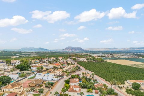 Villa à vendre Algorfa, Alicante, Espagne, 4 chambres, 220 m2 No. 112903 - photo 30