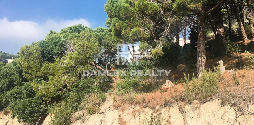 Land plot in Lloret de Mar, Girona, Spain 1543 sq.m. No. 177282