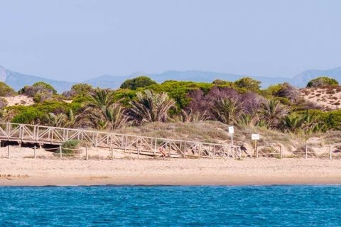 Lägenhet till salu i Guardamar del Segura, Alicante, Spanien 2 sovrum, 72 kvm. Nr. 155021 - foto 18