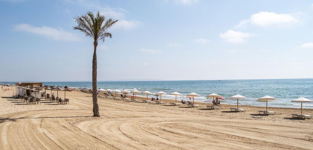 Apartment à Guardamar del Segura, Alicante, Espagne 2 chambres, 72 m2 No. 155024