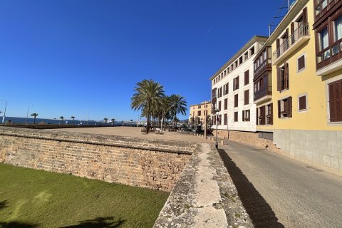 Penthäuser zur Miete in Palma de Majorca, Mallorca, Spanien 4 Schlafzimmer, 308 m2 Nr. 155026 - Foto 26