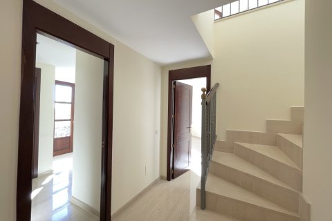 Penthäuser zur Miete in Palma de Majorca, Mallorca, Spanien 4 Schlafzimmer, 308 m2 Nr. 155026 - Foto 22