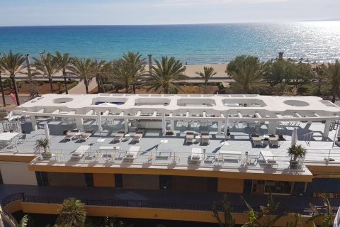 Gewerbeimmobilien zum Verkauf in Palma de Majorca, Mallorca, Spanien 722 m2 Nr. 155025 - Foto 2