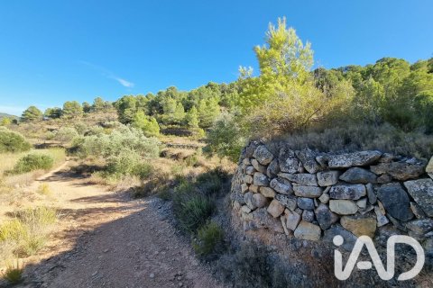 Land zum Verkauf in El Pinell de Brai, Tarragona, Spanien 12207 m2 Nr. 196565 - Foto 5