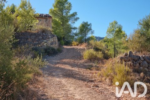 Land zum Verkauf in El Pinell de Brai, Tarragona, Spanien 12207 m2 Nr. 196565 - Foto 2