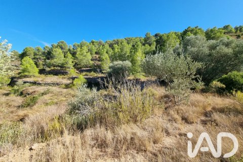 Land zum Verkauf in El Pinell de Brai, Tarragona, Spanien 12207 m2 Nr. 196565 - Foto 10