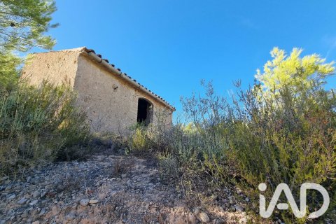 Land zum Verkauf in El Pinell de Brai, Tarragona, Spanien 12207 m2 Nr. 196565 - Foto 3