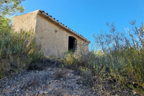 Land zum Verkauf in El Pinell de Brai, Tarragona, Spanien 12207 m2 Nr. 196565 - Foto 14