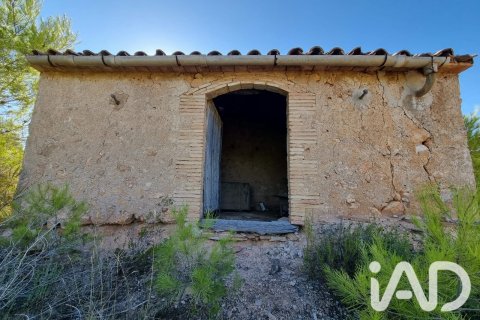 Land zum Verkauf in El Pinell de Brai, Tarragona, Spanien 12207 m2 Nr. 196565 - Foto 4