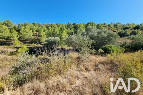 Land zum Verkauf in El Pinell de Brai, Tarragona, Spanien 12207 m2 Nr. 196565 - Foto 9