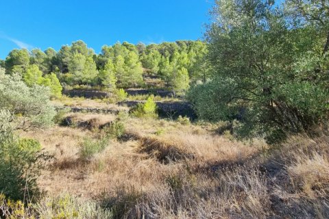 Land zum Verkauf in El Pinell de Brai, Tarragona, Spanien 12207 m2 Nr. 196565 - Foto 17