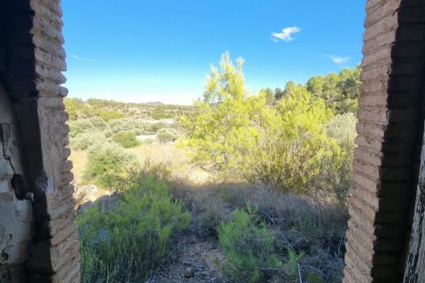 Land zum Verkauf in El Pinell de Brai, Tarragona, Spanien 12207 m2 Nr. 196565 - Foto 12