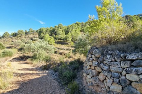 Land zum Verkauf in El Pinell de Brai, Tarragona, Spanien 12207 m2 Nr. 196565 - Foto 16